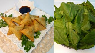 بريوات بالسبانخ والجبن ( épinards ou fromage) زيني بهم مائدة رمضان من ألذ ما يكون