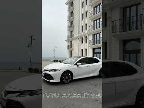 аренда и лизинг легковых автомобилей