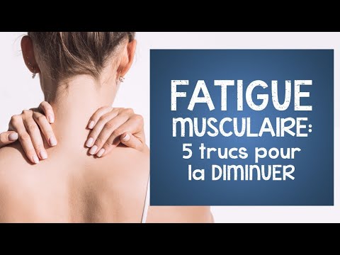 Vidéo: Rangée Assise: Muscles Utilisés, Erreurs Courantes, Modifications