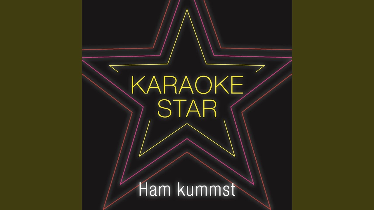 Ham kummst (Karaoke Version) (Originally Performed by Seiler & Speer