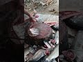 Live highlight