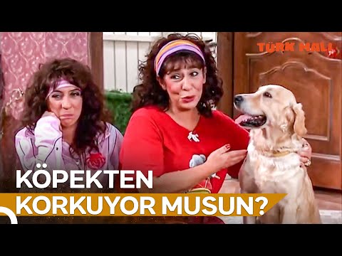 Erman'ın Köpekle İmtihanı | Türk Malı