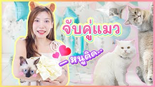 โอ๋ ลูกแมวติดสัด.. ตบแมวรัสเซีย? | อุงเอิง (จับคู่แบบ No.1)