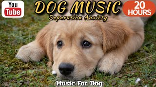 20 HOURS of Dog Calming Music🐶💖Anti Separation Anxiety Relief Music🦮🎵 Dog Relaxation⭐Healingmate
