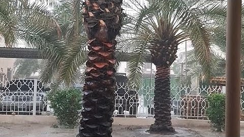 سورة الغاشية ( القارئ أكرم العلاقمي )