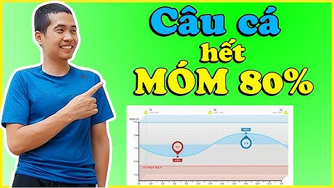 Câu cá cần biết rõ điều này | cách xem con nước để đi câu cá!