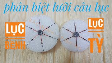 lưỡi câu lục cách phân biệt lục tỳ - lục bềnh, dáng lưỡi câu lục hay dùng nhất. câu lục #4