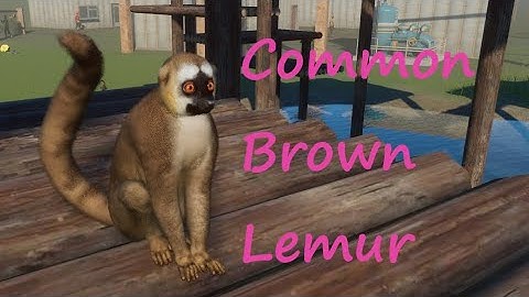 Common Brown Lemur by Leaf and Squatch - Planet Zoo Mod