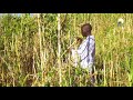 دراما سودانية كدونقار و حليمة فرقة جنكاب دراما سودانية كدونقار و حليمة فرقة جنكاب