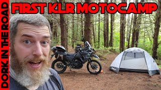 Falling Trees, Owl Attack, and Overnight Rain: First 2022 Kawasaki KLR 650 Moto Camping Adventure