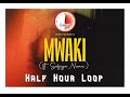 Zerb  mwaki ft sofiya nzaun  half hour loop