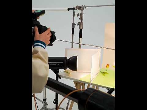 Двосторонній розсіювач світла А3 420*290 мм для предметного знімання (замінює софтбокс, лайткуб), видео 1