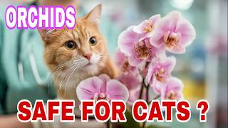 Are Orchids POISONOUS to Cats ? screenshot 5