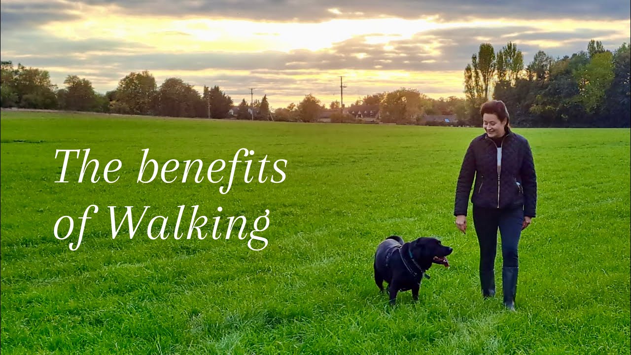The Benefits of Walking for Mind and Body