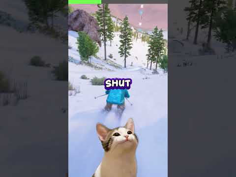 Tailgating Sister Learns About Physics