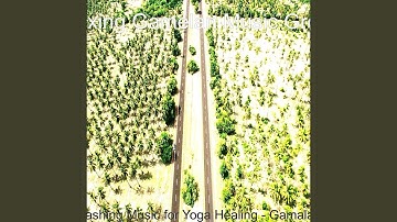 Pulsating Ambiance for Rejuvenating Experiences