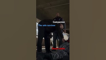 Looting in fallout 4 be like #shorts #fallout #meme