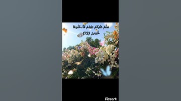 سورة الزمر -الشيخ خالد الجليل #quran #qurankarim #اكسبلور #لايك #راحة_نفسية #قرآن_كريم #quran