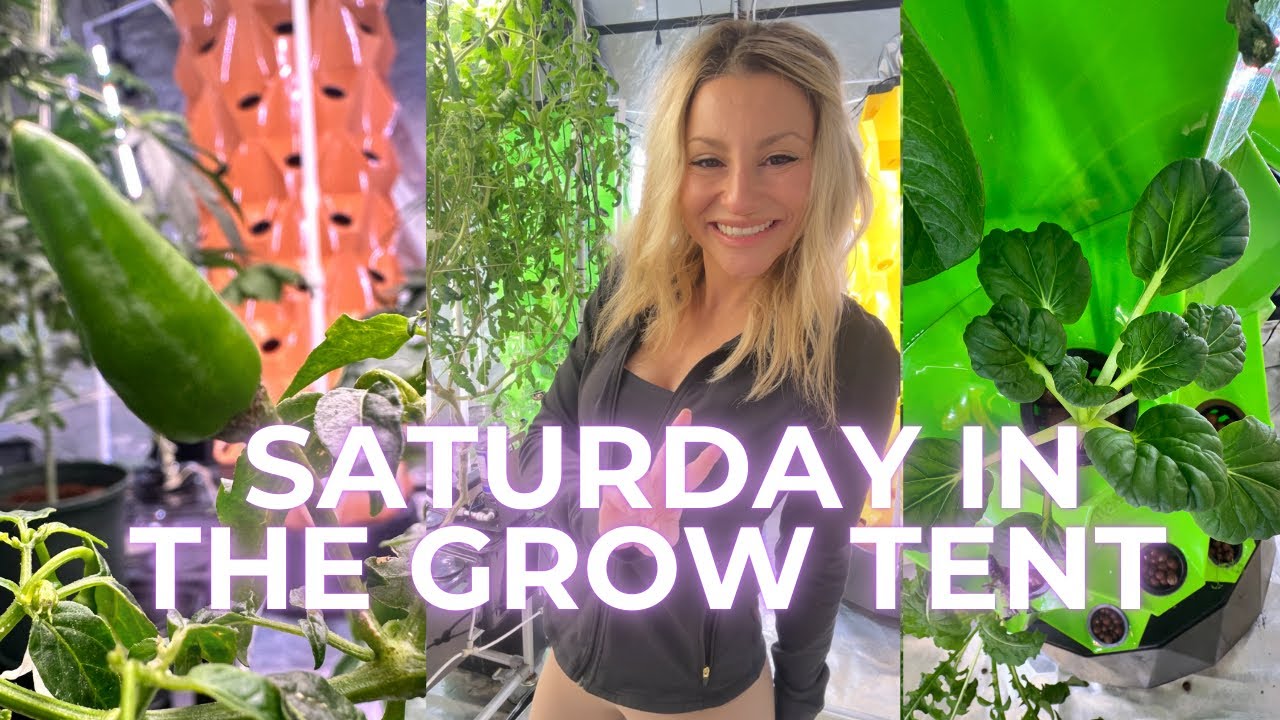 LIVE: SATURDAY IN THE GROW TENT ☕️