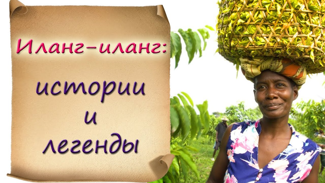 Иланг-иланг Иланг-иланг