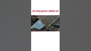 Never Chase Pathfinder with zipline in Apex legends