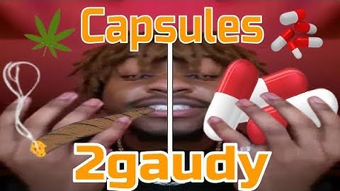2gaudy - Capsules* (unreleased snippet)