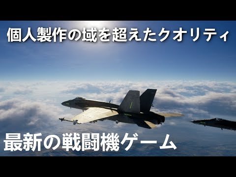 個人製作の戦闘機ゲームがリアル過ぎるｗｗ Project Wingman 実況 Youtube