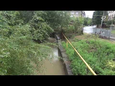 ბუხაიძის ქუჩის მაცხოვრებლები ტერიტორიის დასუფთავებას ითხოვენ