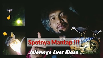 Menangkap Ruak-Ruak Dengan Tangan Kosong | Emang Bisa ???