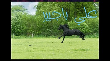 تلاوه عذبه عطر مسامعك بصوت علي باجبير