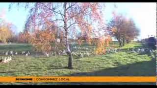 Le 7/8 L’Actu – Edition du 17 décembre 2013