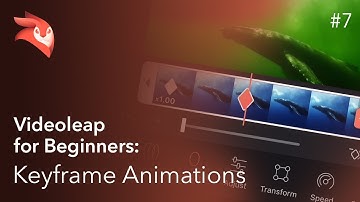 Enlight Videoleap for Beginners: Keyframe Animations