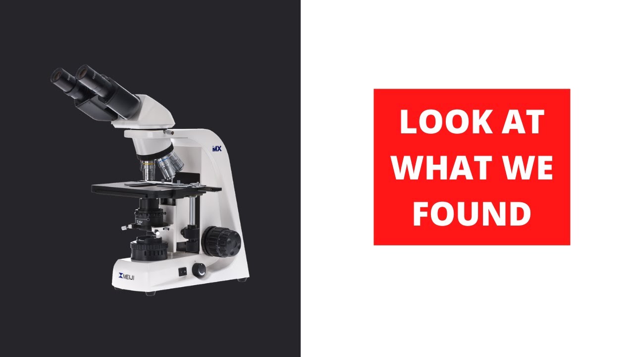 Review of the Visiomar microscope YouTube
