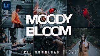 Free Download Premium Preset | Moody Bloom Preset Tutorial In Lightroom Mobile | No Password screenshot 1