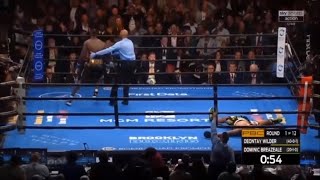 Deontay Wilder Vs Dominic breazeale FULL FIGHT HD