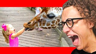 Details WORLD'S HARDEST TRY NOT TO LAUGH CHALLENGE! News