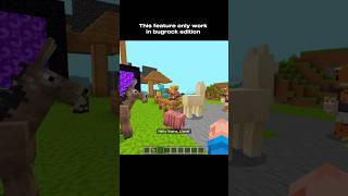 Villager Reaction on Crazy Mobs!