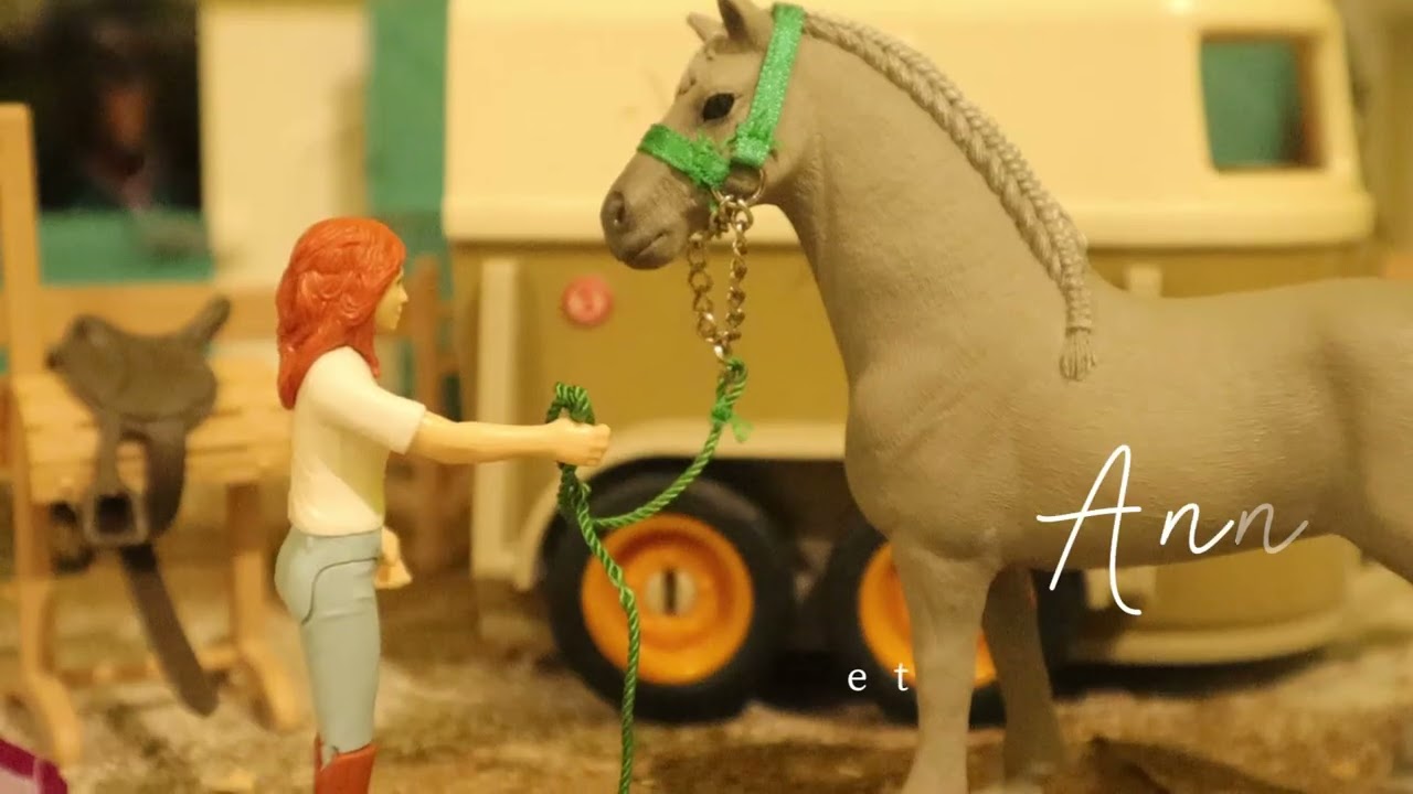 L'introduction de ma série Schleich