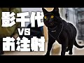 影千代の予防接種 影千代の予防接種