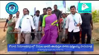 Pachipala Venu Yadav Kodad Constancy Ysrtp