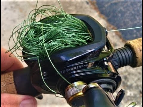 How To Easily Cut Braided Fishing Line With Stacy Barawed!: Vlog No 54 