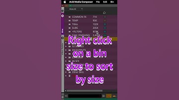 014 Sorting the Bin Container #shorts #avidmediacomposer #postproduction