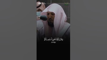إن ربي لسميع الدعاء💚 #ماهر_المعيقلي #قرآن #قران #قران_كريم #تلاوة