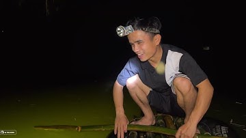 RƠI SÔNG VÌ BẮT CÁ-TỰ THỢ RỪNG