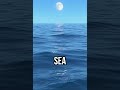 Tide trick revealed #science #moon #ocean