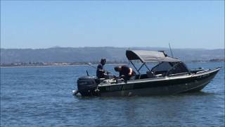 Halibut & Striper Fishing in the Bay