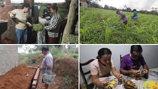 ADUBANDO A ROÇA DE MILHO + MOSTRANDO A CONSTRUÇÃO DA CASA DE JONAS + PEIXE PIAUÇU NA JANTA