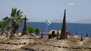 Коралловый пляж отеля Xperience Kiroseiz Premier 5 Шарм эль Шейх Египет.Часть 2