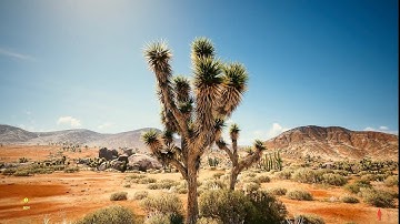 "But Fallout 4 has Better Graphics Than New Vegas"