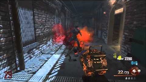 NEW! Black Ops 2 Mob Of The Dead 